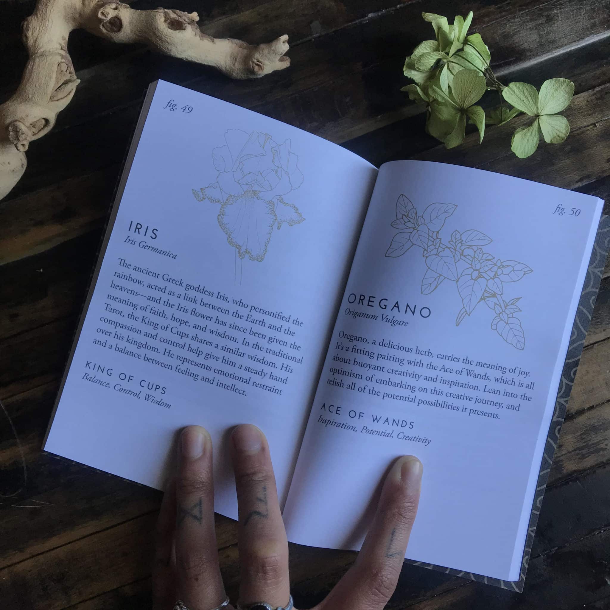 Fleurot Deck and Guidebook. - RitualCravt | Wheat Ridge, CO
